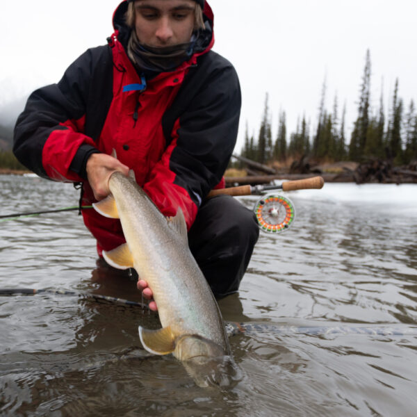 Fernie Fly Fishing Guides Choose the BEST guides in Fernie!
